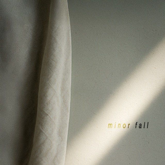 Minor Fall Cover